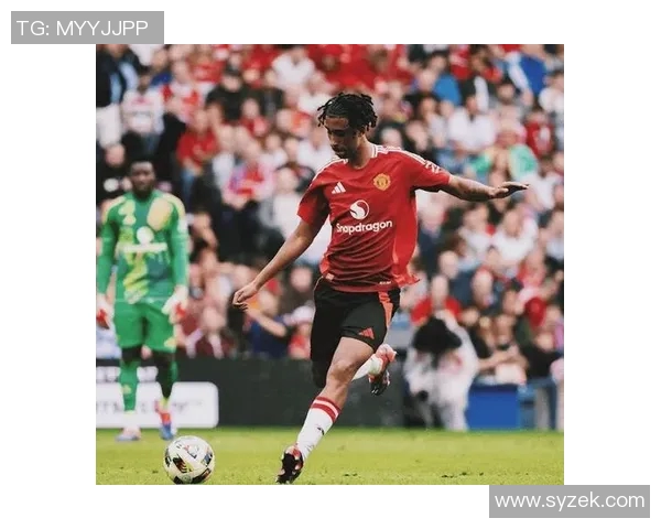 姆伯莫秘密劝说巴莱巴加盟曼联共同分享红魔的快乐与荣耀 姆伯莫秘密劝说巴莱巴加盟曼联共同分享红魔的快乐与荣耀