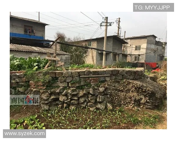 KD回忆童年放学路途四小时未遭绑架感慨幸运之事 KD回忆童年放学路途四小时未遭绑架感慨幸运之事