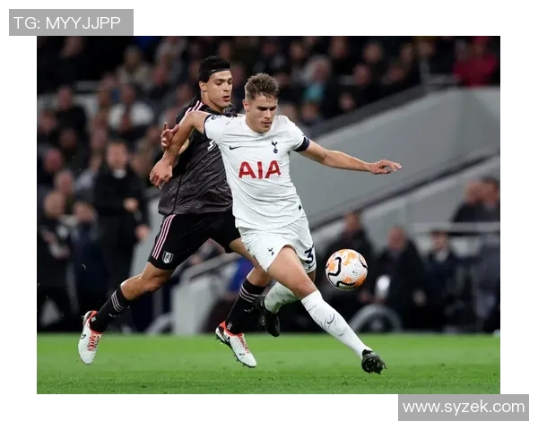 热刺计划在年前为范德文涨薪续约周薪提升至五万镑