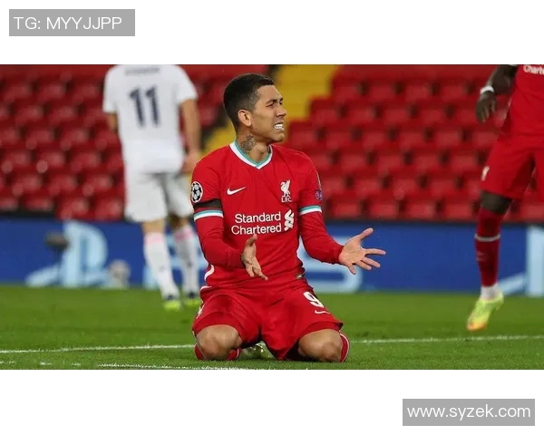 疯狂樱桃重建之路伯恩茅斯夏窗大换血后仅输利物浦一场