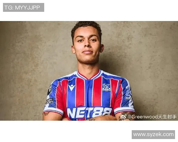 5000万镑去热刺!前威尔士前锋:降低期望约翰逊不是下一个贝尔 5000万镑去热刺!前威尔士前锋:降低期望约翰逊不是下一个贝尔